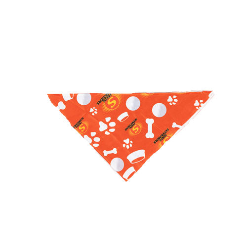 BBL Perth Scorchers Dog Bandana