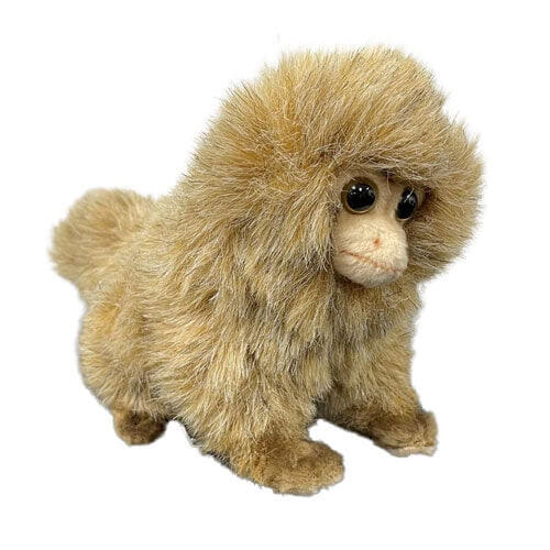 Peluche Ouistiti pygmée 21 cm