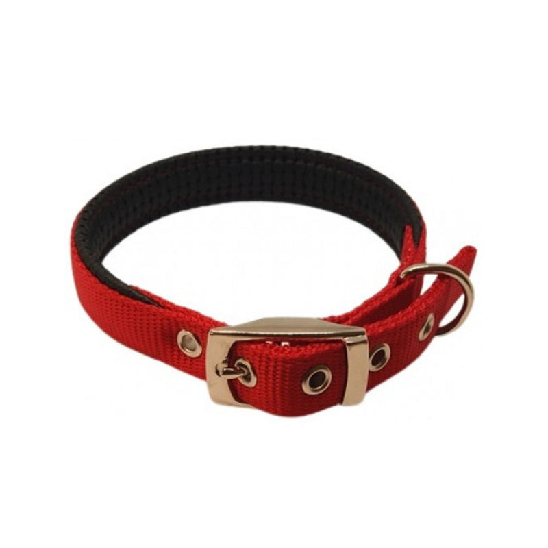 Collar de nylon 35 cm