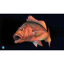  Alfombrilla de casco de lujo