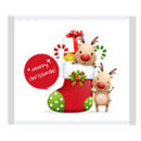 Chocolates belgas de Natal 500pc (2,6kg)