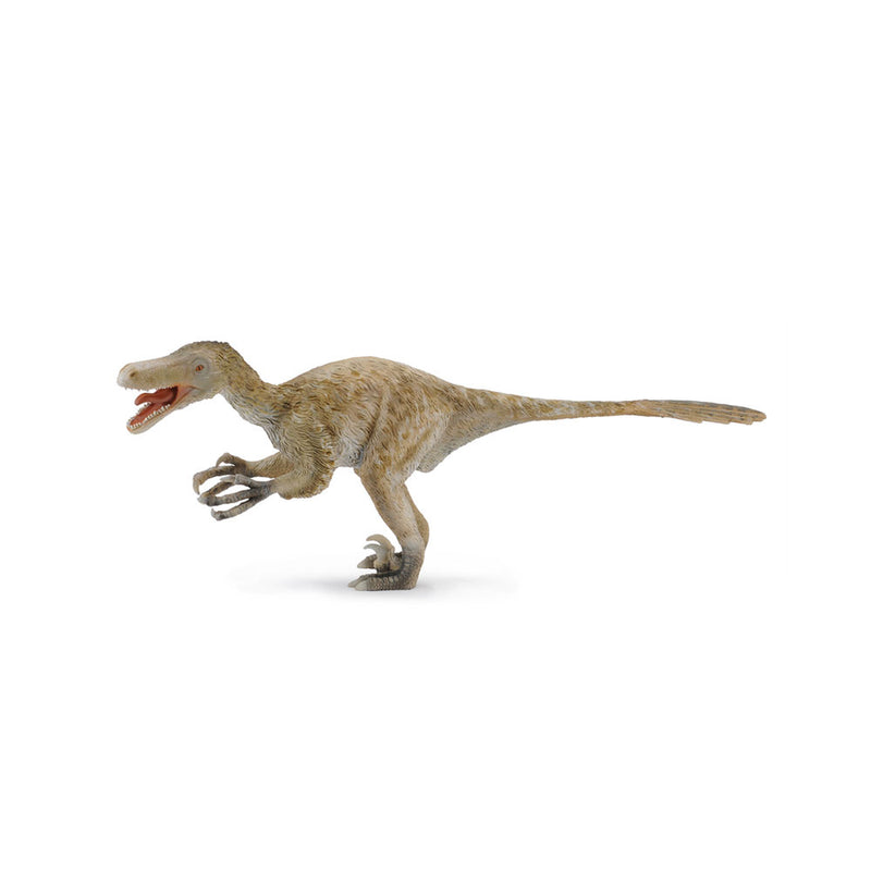  Figura de dinosaurio Velociraptor de CollectA