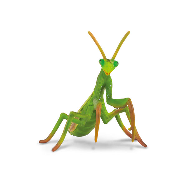CollectA Praying Mantis Figure (Large)