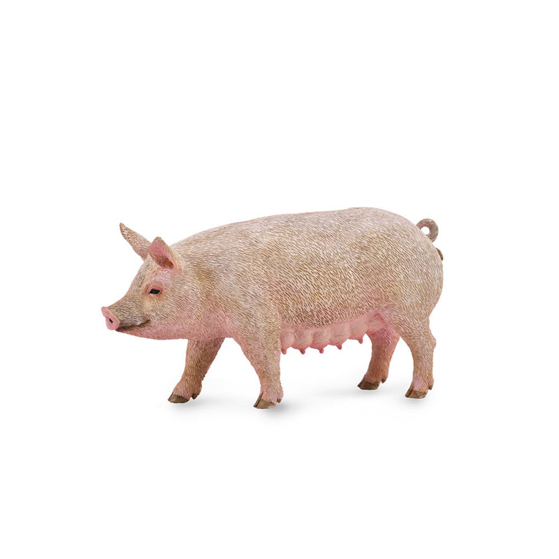  Figura CollectA Pig (mediana)