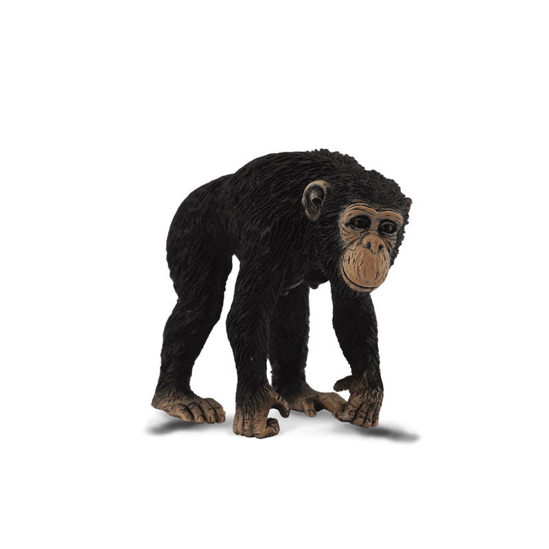  Figura de chimpancé CollectA (mediana)