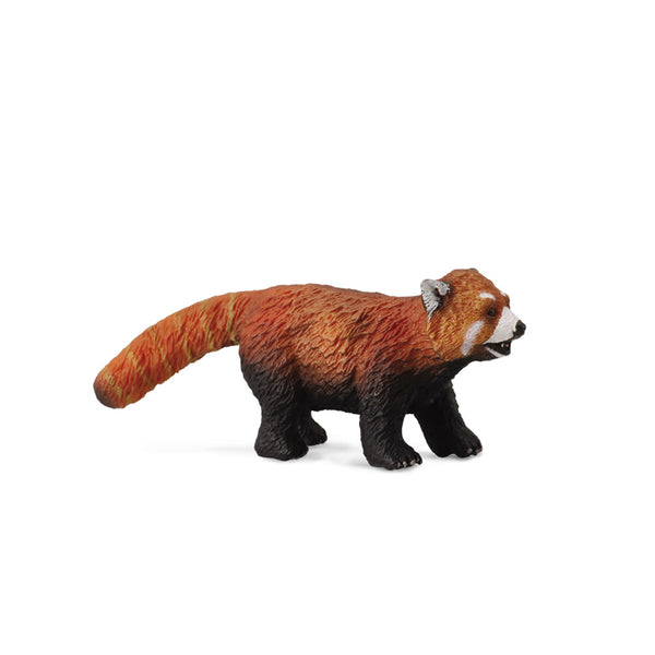 CollectA Red Panda Figure (Medium)