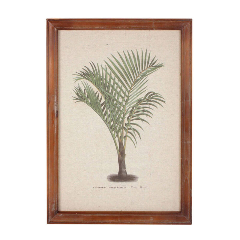 Arte da parede de palmeira vintage emoldurada (38x52x1.8cm)