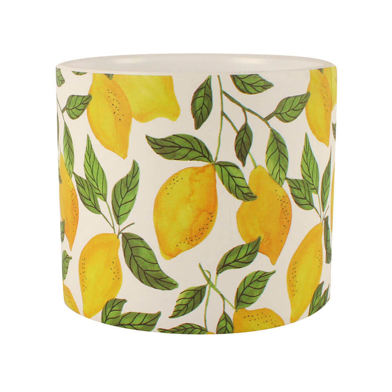 Vaso de planta de cerâmica de limão