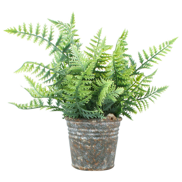 Fern in Tin Pot 30cm