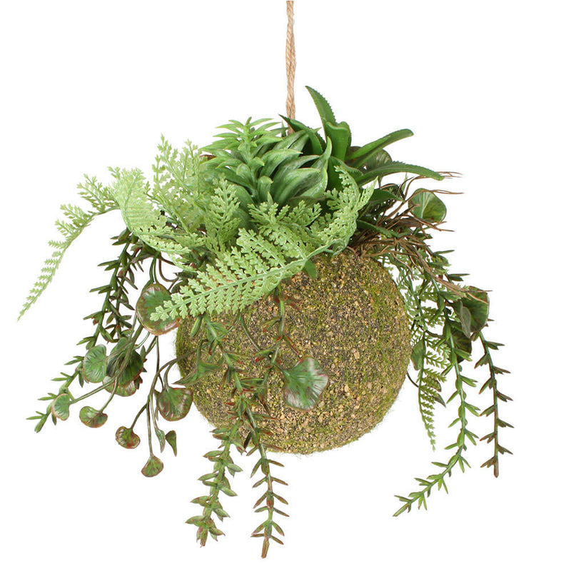  Moana Kokedama Colgante Mixto