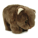 Peluche Jumbuck Wombat