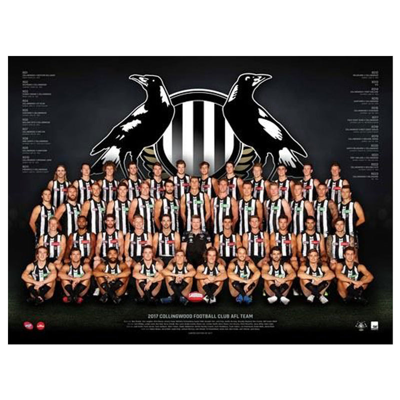 Pôster da equipe da AFL 2017