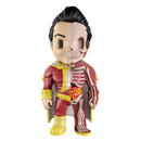 Xxray Figura de anatomia engraçada