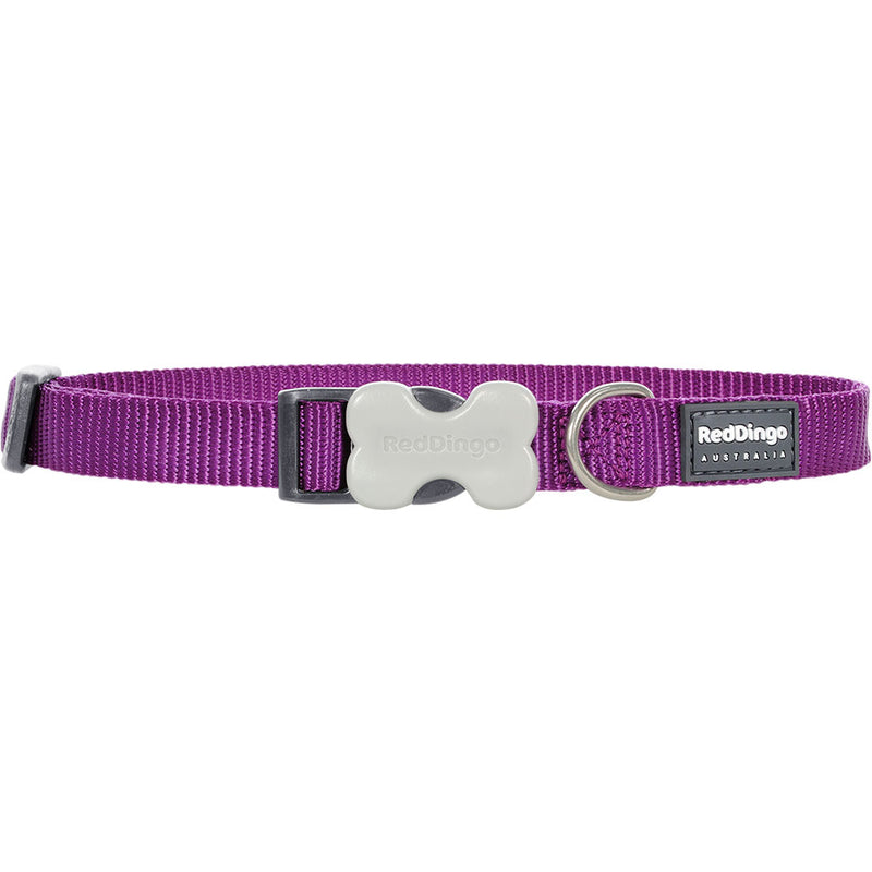 Collier de chien classique (violet)