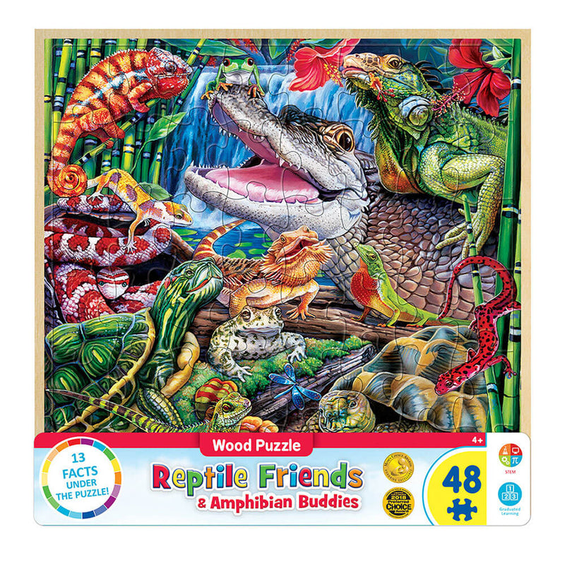 MP Wood Curty Facts Puzzle (48 PCs)