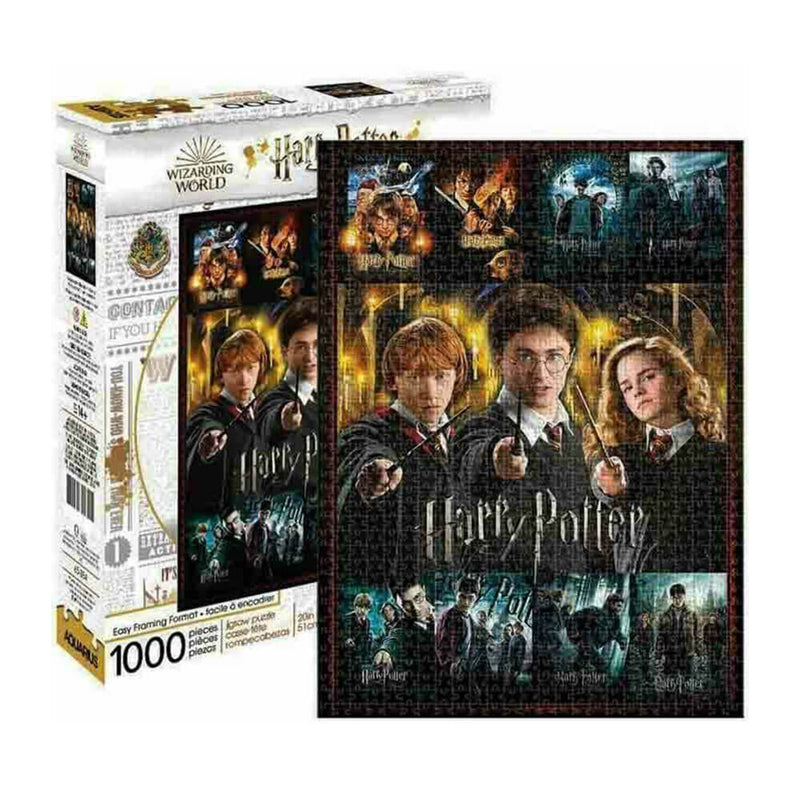 Puzzle Verseau Harry Potter (1000pcs)