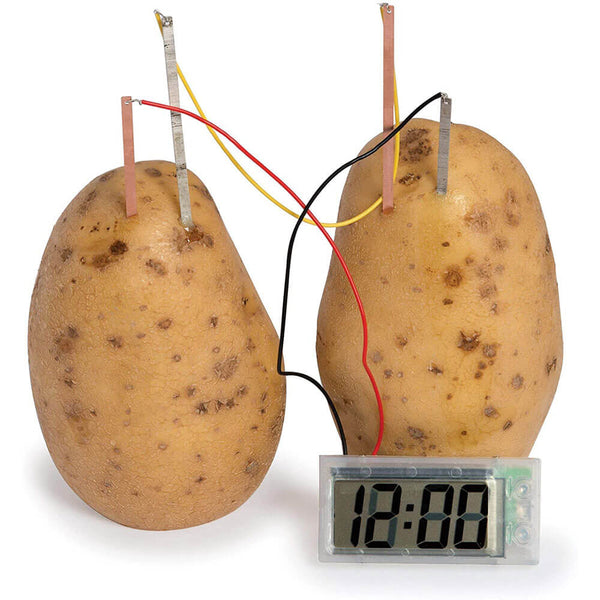 Funtime Potato Clock Toy